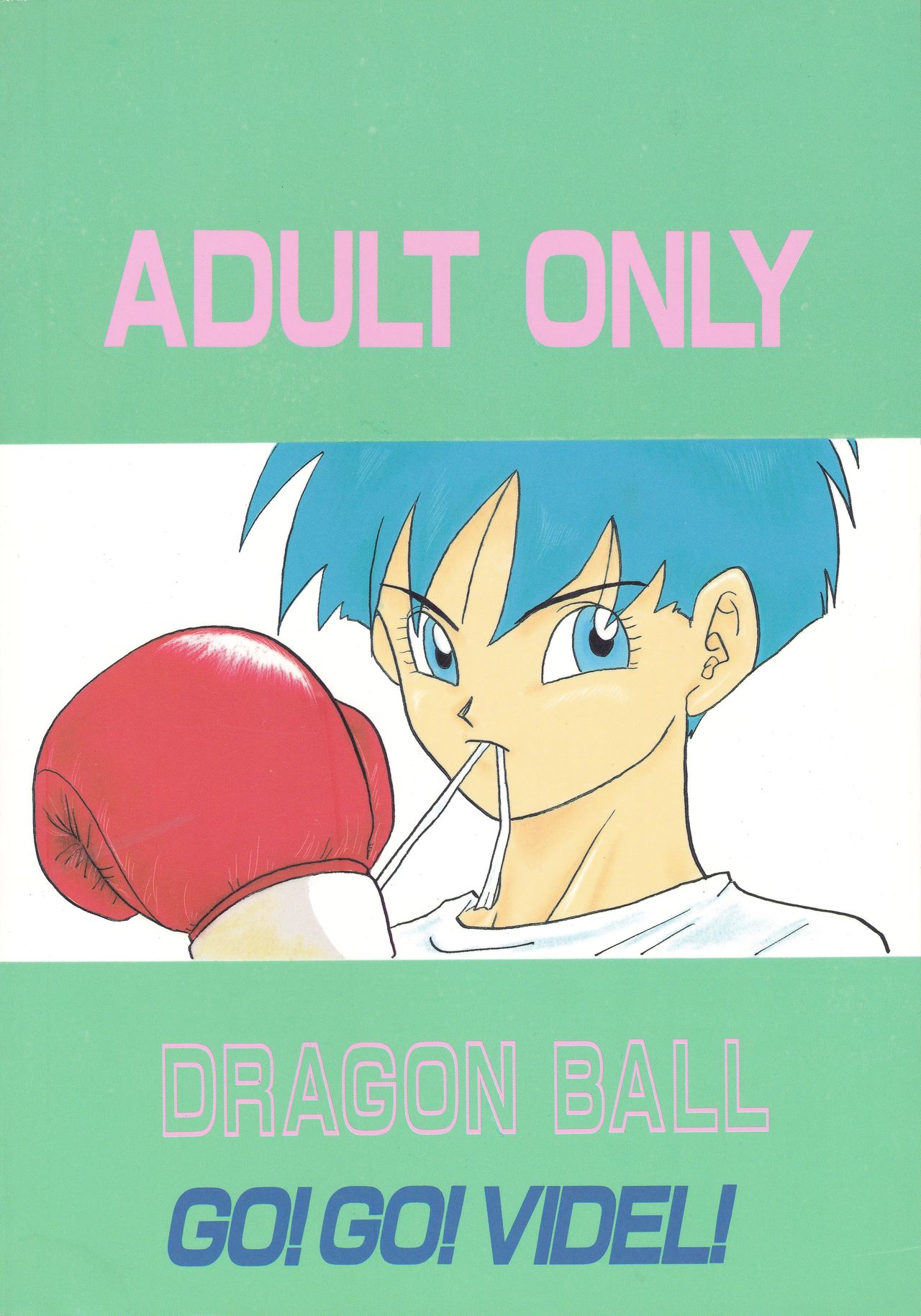 (C46) [Chirigami Goya, Fusuma Goten (Shouji Haruko)] Y (Dragon Ball Z) (C46) [ちり紙小屋, ふすま御殿 (障子張子)] Y (ドラゴンボールZ)
