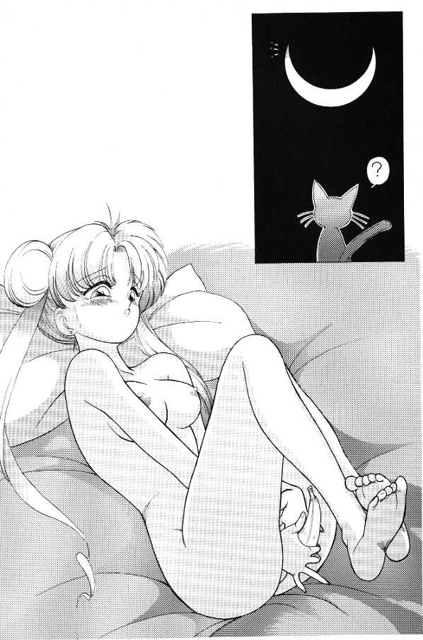 Subete Wa Yume No Sei Ni Sureba II [Sailor Moon] 