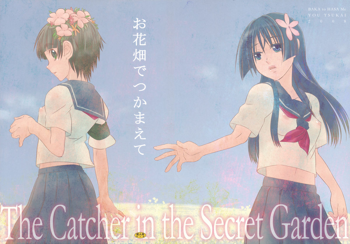 (C75) [Baka to Hasami (Tsukai You)] Ohanabatake de Tsukamaete - The Catcher In The Secret Garden (To Aru Kagaku no Choudenjibou) [バカトハサミ(塚井ヨウ)] お花畑でつかまえて The Catcher in the Secret Garden (とある科学の超電磁砲)