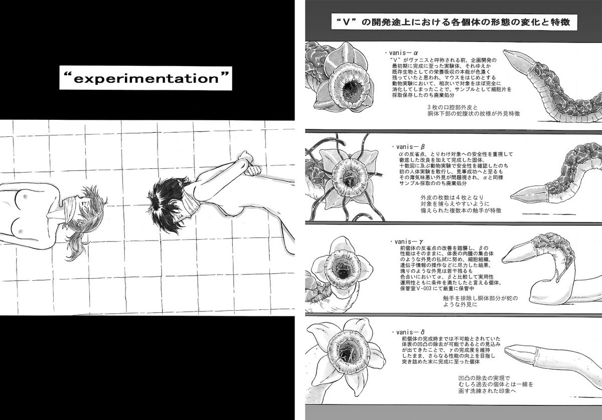 [Kasetsu Shirokuma (Yoi)] P045-02 Vanis Report [仮設しろくま (酔)] P045-02 ヴァニス・レポート