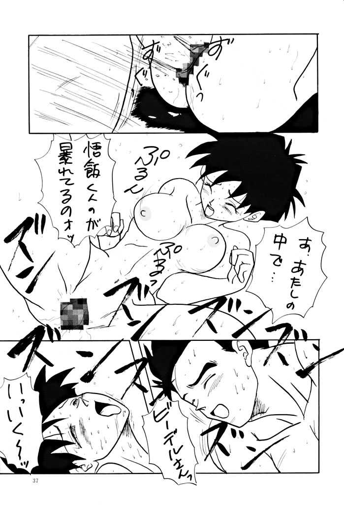 (C47) [Chirigami Goya &amp; Fusuma go Ten (Shouji Haruzo)] YY Waiwai (Dragon Ball Z) (C47) [ちり紙小屋 ＆ ふすま御殿 (障子張蔵)] YY ワイワイ (ドラゴンボールZ)