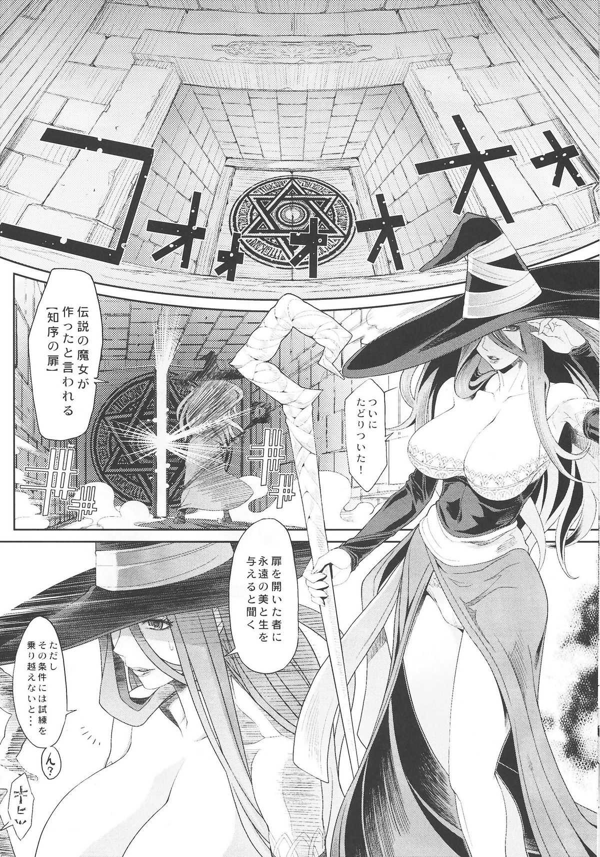 (C80) [TOLUENE ITTOKAN] Ketsu!MegatonDC (Dragon&#039;s Crown) (C80) [トルエン一斗缶] Ketsu!MegatonDC (ドラゴンズクラウン)
