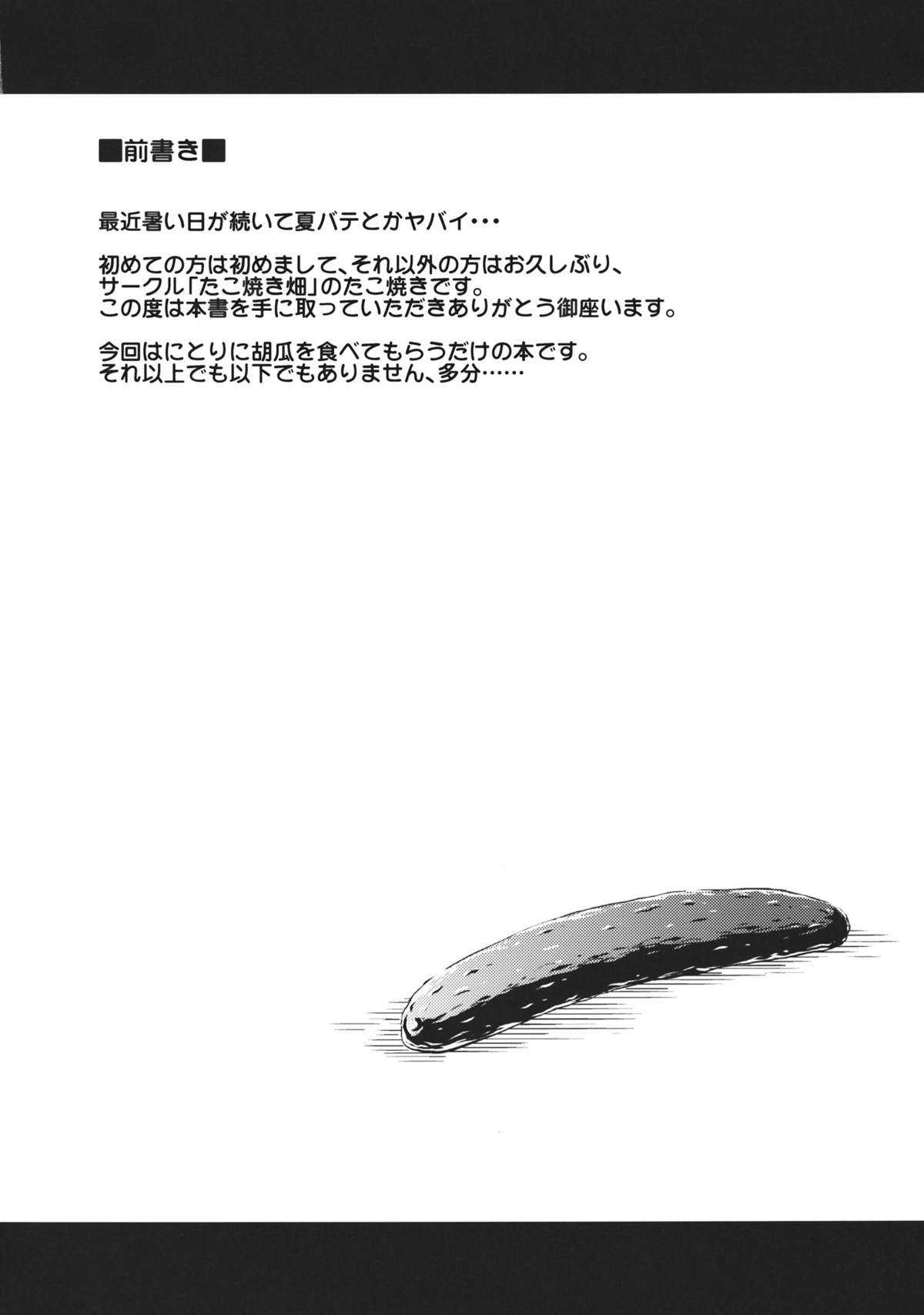 (C82) [Takoyaki-batake] Kyuuri Sommelier (Touhou Project)(chinese) (C82) (同人誌) [たこ焼き畑] きゅうりソムリエ (東方) (エロ)[公主の假日汉化组]