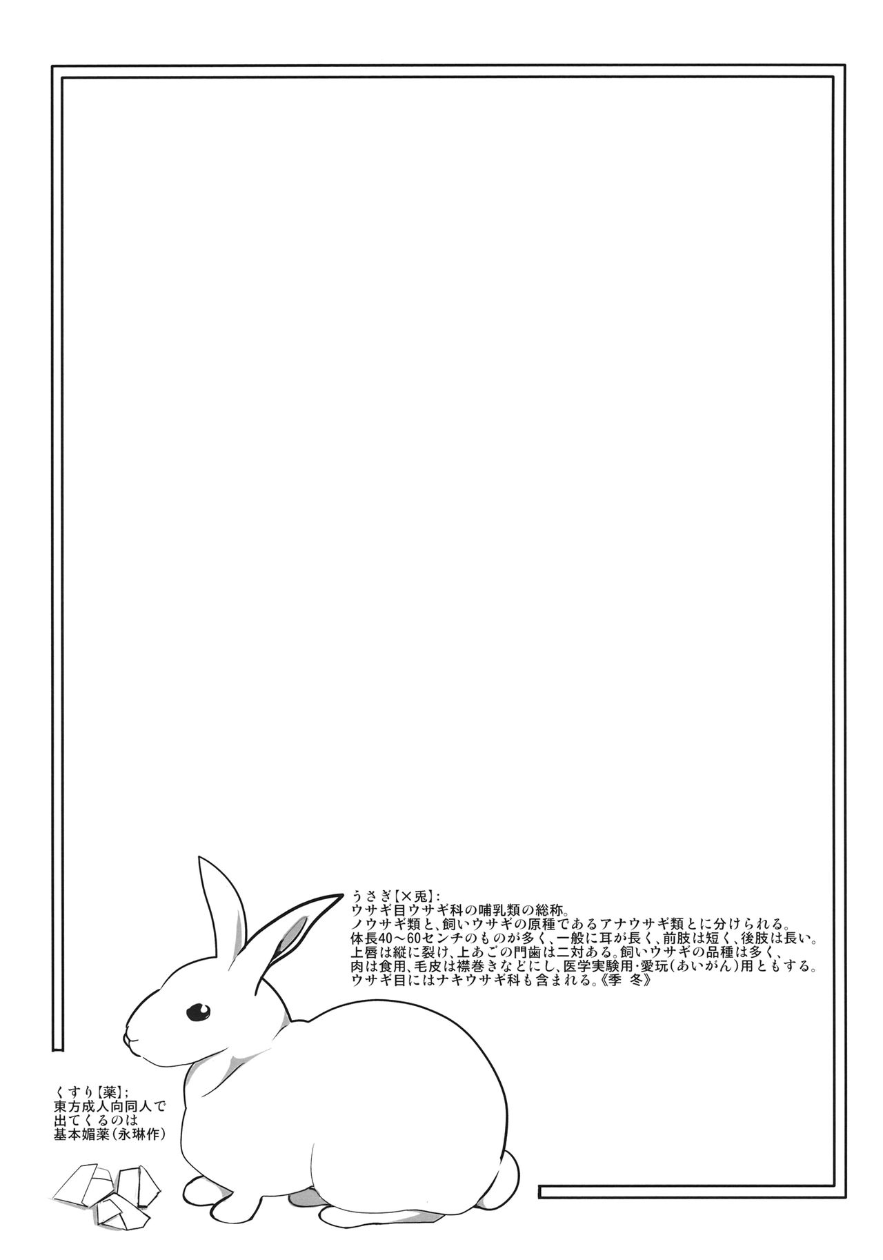 (C82) [Ryokucha Combo (Chameleon)] Usagi no Okusuriyasan (Touhou Project) [Chinese] [Nice漢化] (C82) [緑茶コンボ (かめれおん)] うさぎのおクスリ屋さん (東方Project) [中文] [Nice漢化]
