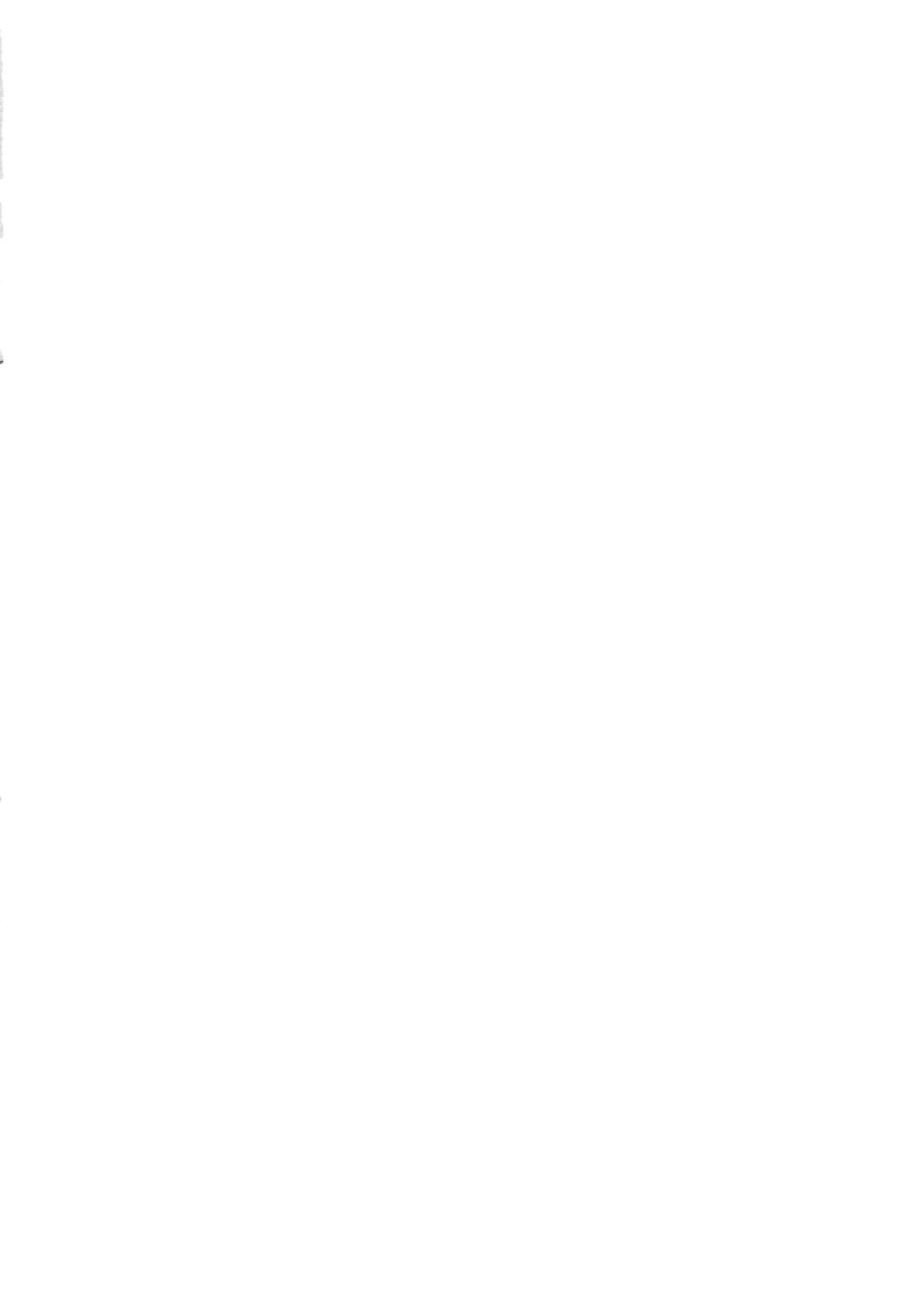 (C85) [Zettai Shoujo (RAITA)] Mahou Shoujo 12.0 (Zettai Junpaku Mahou Shoujo) [Chinese] [Genesis漢化] (C85) [絶対少女 (RAITA)] 魔法少女12.0 (絶対純白・魔法少女) [中文翻譯]