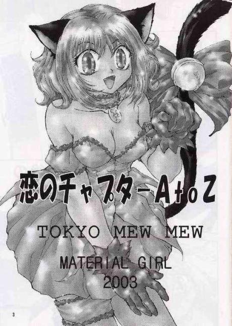 [MATERIAL GIRL (Kannazuki Reira)] Koi no Chapter A to Z (Tokyo Mew Mew) [MATERIAL GIRL (神無月麗羅)] 恋のチャプターAtoZ (東京ミュウミュウ)