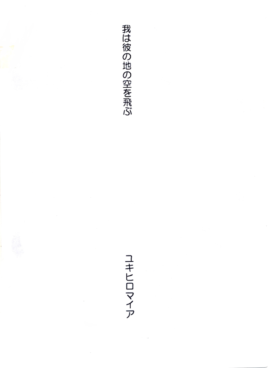 [Yukihiro Maia] Waga wa Kare no Chi no Sora wo Tobu (Fullmetal Alchemist) [ユキヒロマイア] 我は彼の地の空を飛ぶ (鋼の錬金術師)