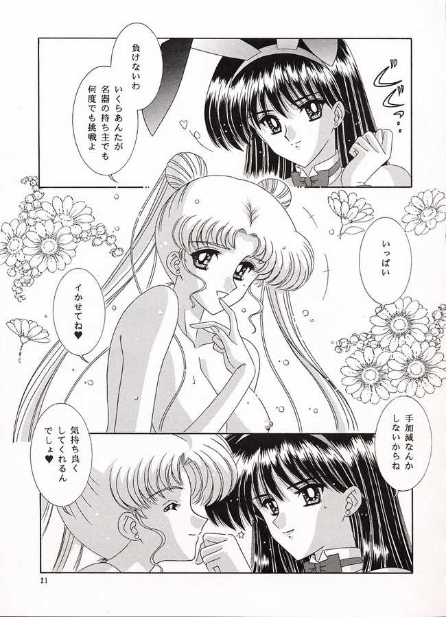 [Biki Takai] Watashi no Megamisama (Sailor Moon) 