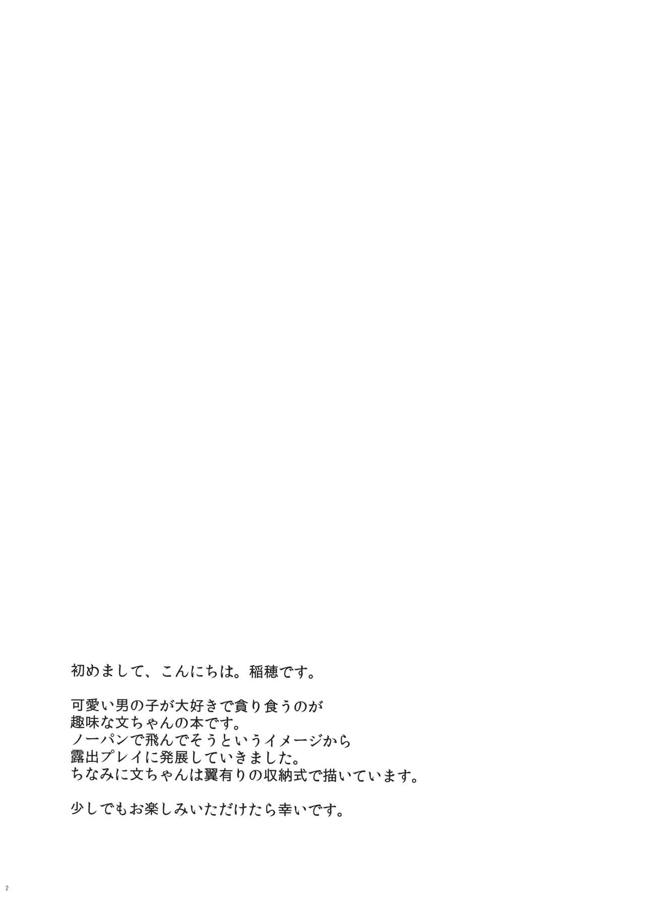 (Reitaisai 12) [Bottle Syrup (Inaho)] Roshutsu Tengu (Touhou Project) (例大祭12) [ボトルシロップ (稲穂)] 露出天狗 (東方Project)