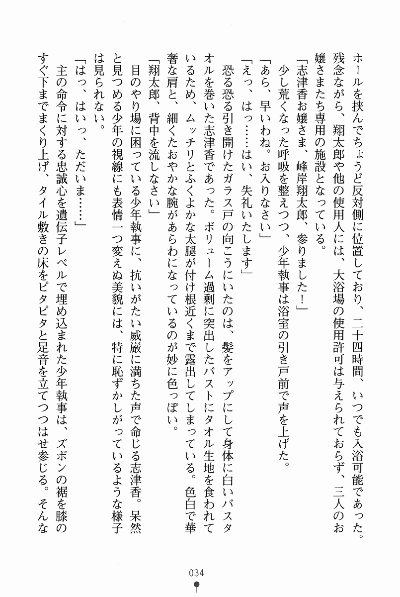 [Aoi Muramasa × Ryuga Syo] Shitsuji Escalation Gohoushi-shimasu Ojousama! [蒼井村正 & 龍牙翔] 執事えすかれーしょん ご奉仕しますお嬢さま！ (二次元ドリーム文庫075)