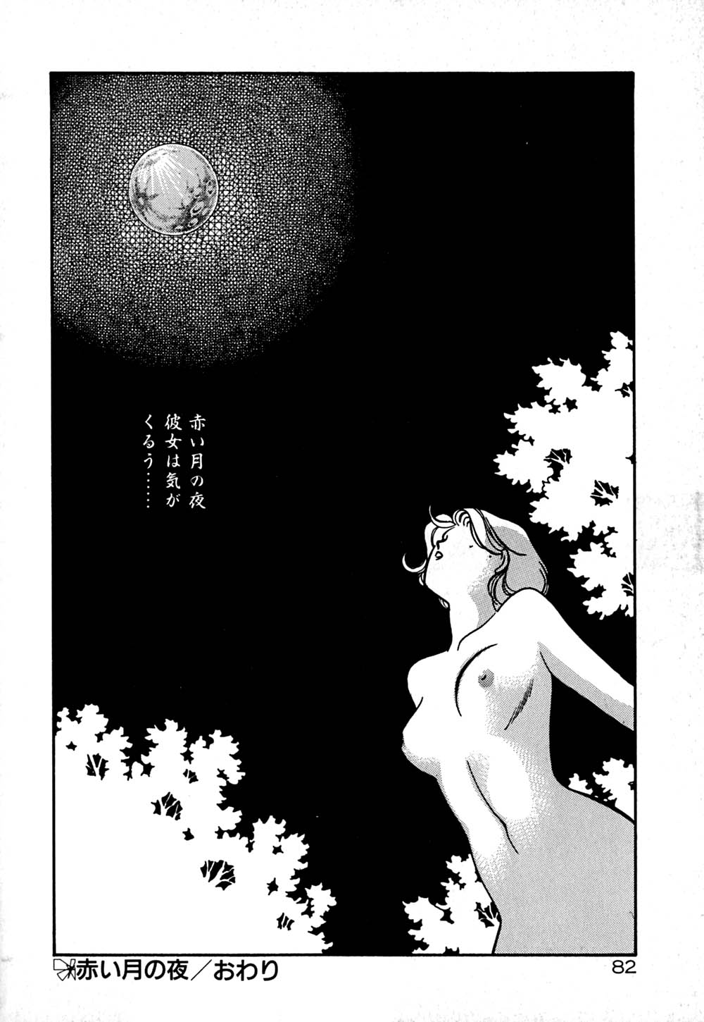 [Arimura Shinobu] Moonlight Magic [有村しのぶ] ムーンライトまじっく