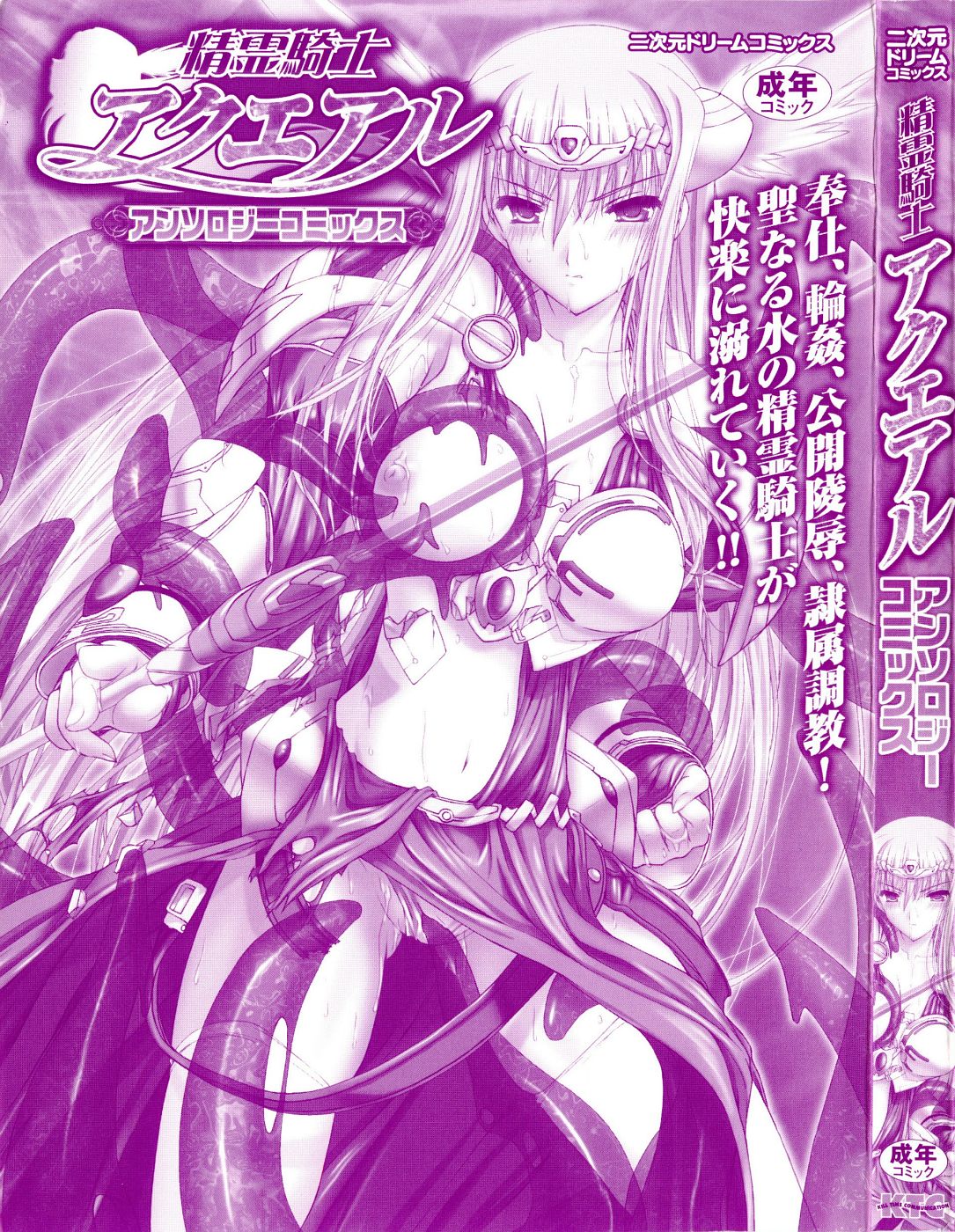 [Anthology] Seirei Kishi Aquael Anthology Comics [アンソロジー] 精霊騎士アクエアルアンソロジーコミックス