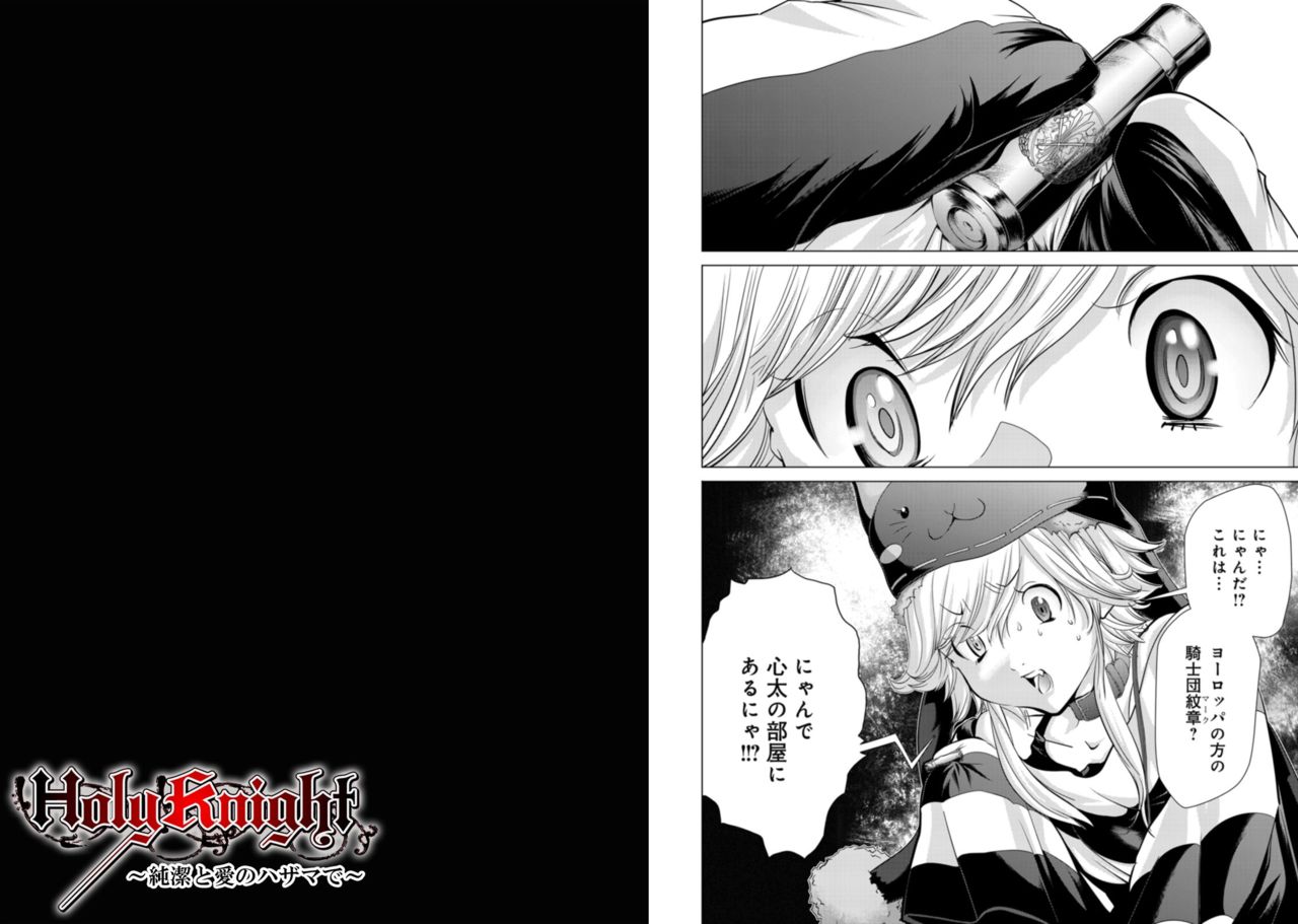 [Miyazaki Maya] Holy Knight ~Junketsu to Ai no Hazama de~ Vol. 8 [宮崎摩耶] Holy Knight ～純潔と愛のハザマで～ 8巻