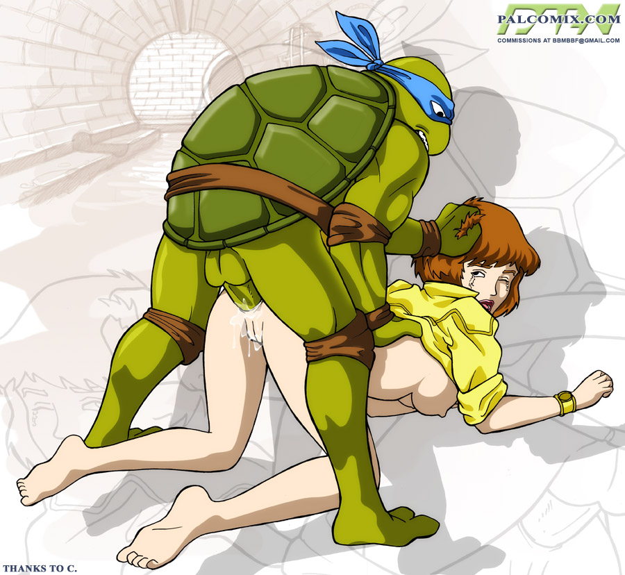 eclipse's cache - Teenage Mutant Ninja Turtles 