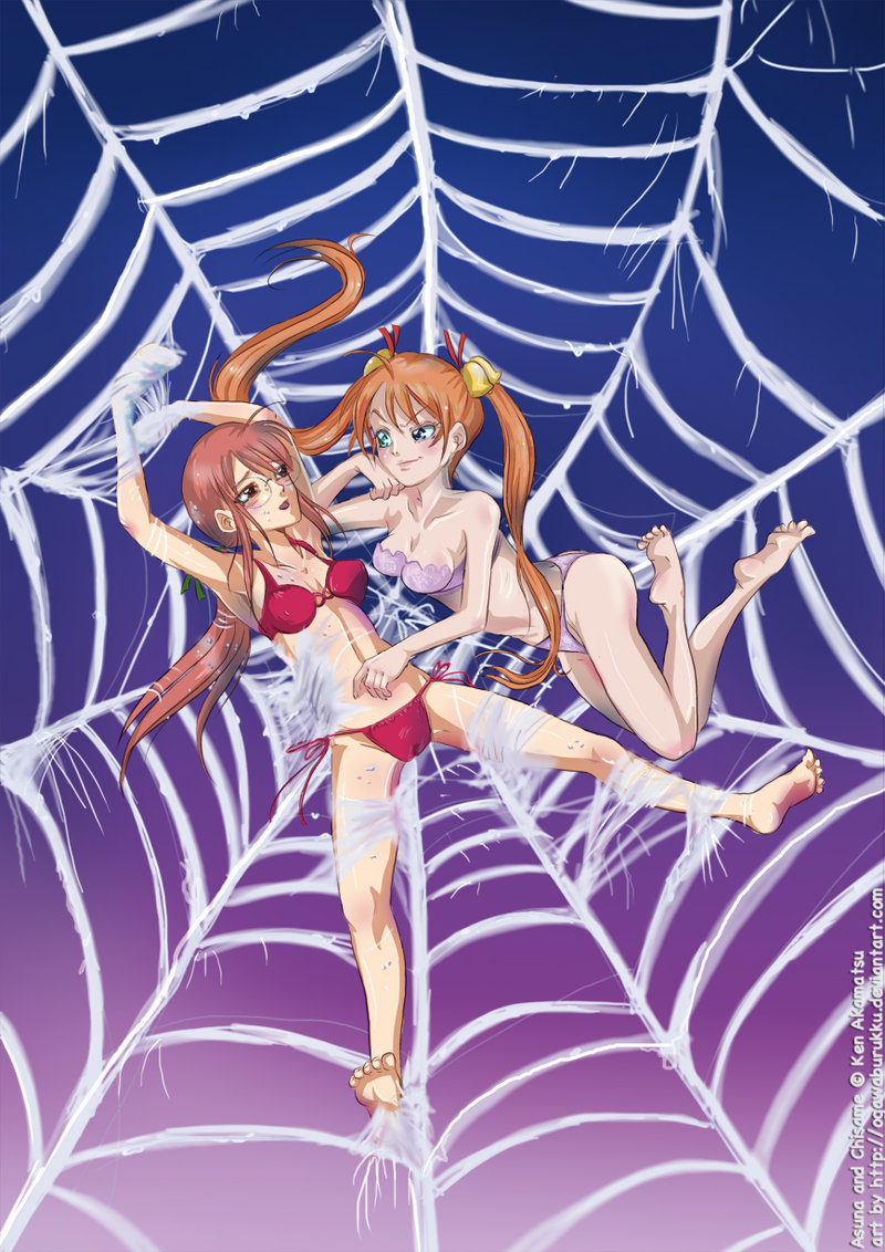 spider web galeia 